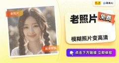 2024塞尔维亚冬季摄影展获取老照片修复的完满连