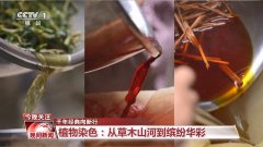 千年典范向新行｜从草木江山到缤纷华彩 动物染